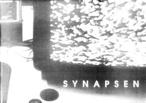 Titelbild
Synapsen